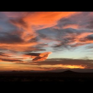 Meet your Posher, Shari